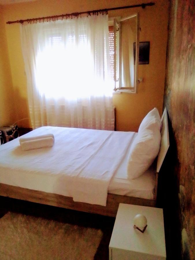 Timocko Gnezdo Guest House Зайечар Екстериор снимка